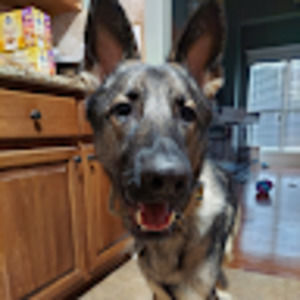 Meet your Posher, Sandy